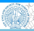 New England society for vascular surgery